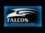 Fitness Studio Falcon